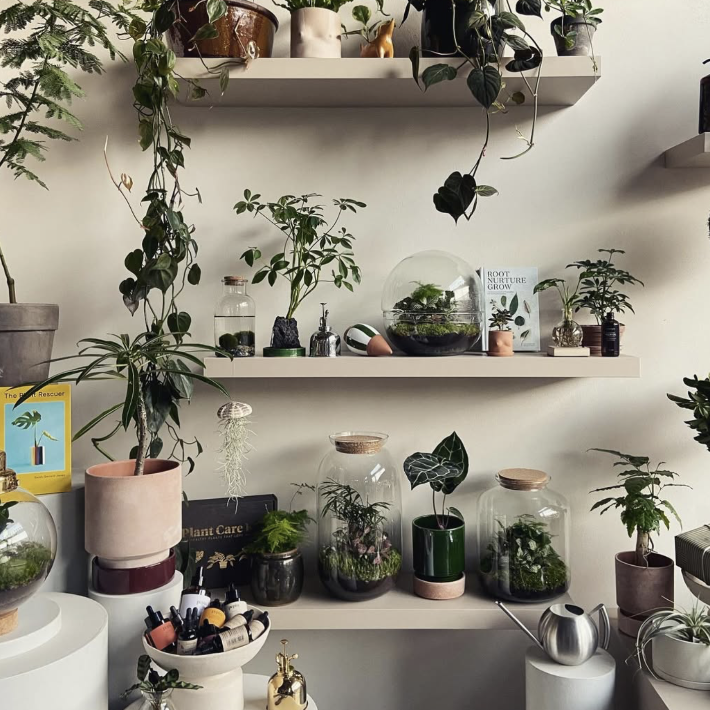 Planteprodukter & Plantepleje