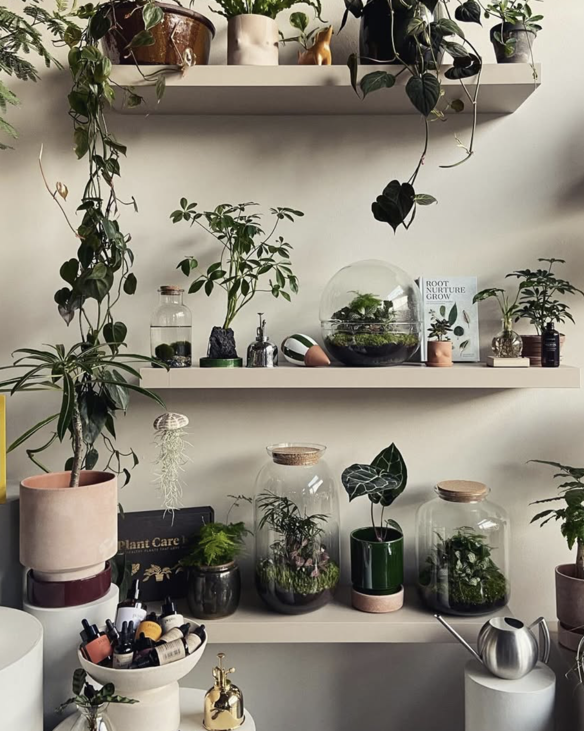 Planteprodukter & Plantepleje