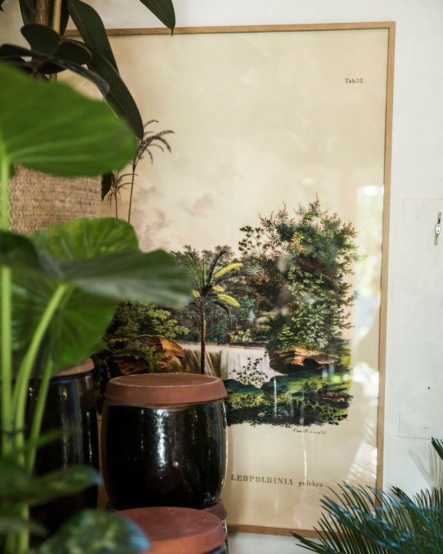 Hele vores sortiment