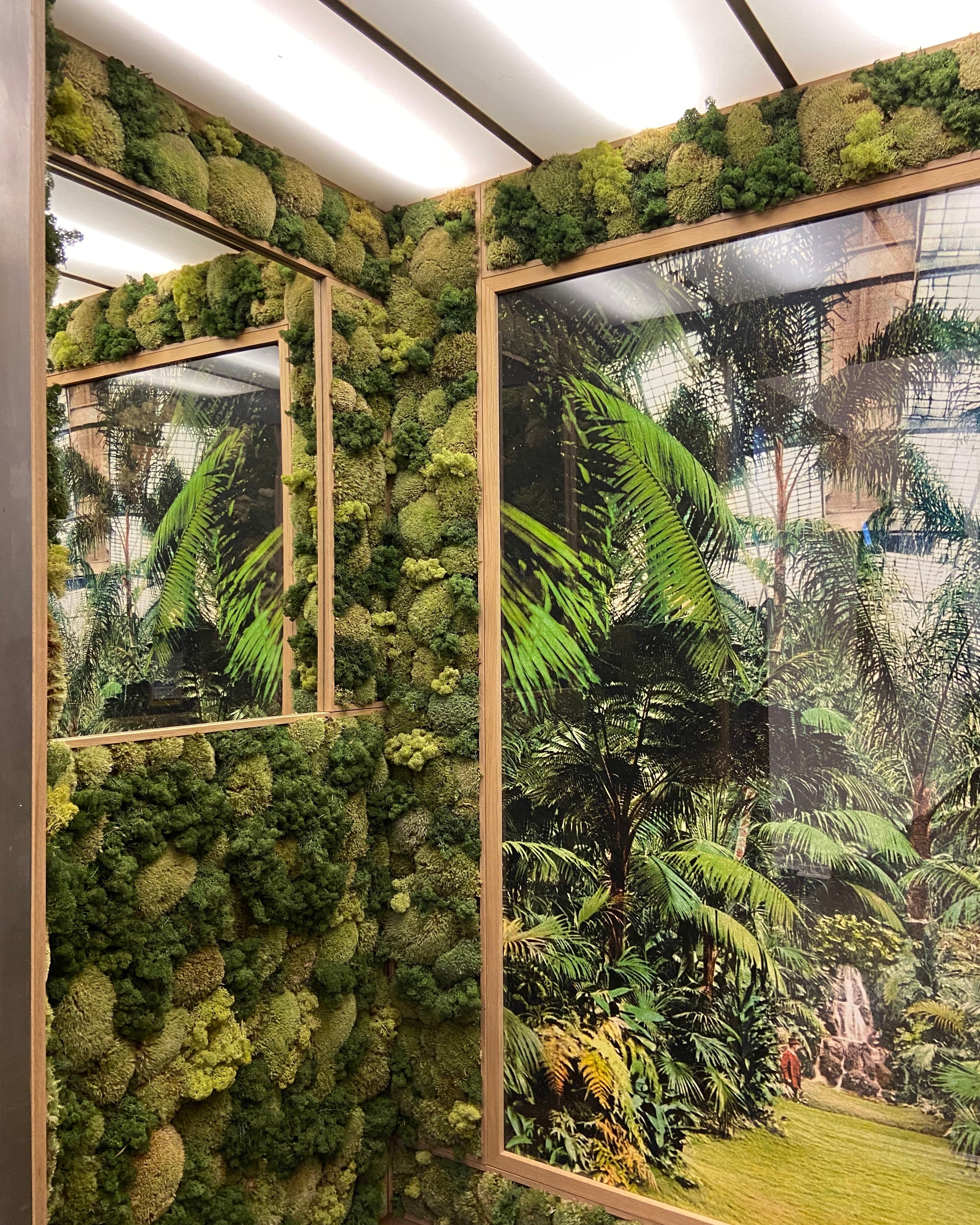 Botaniske plakater & grafik