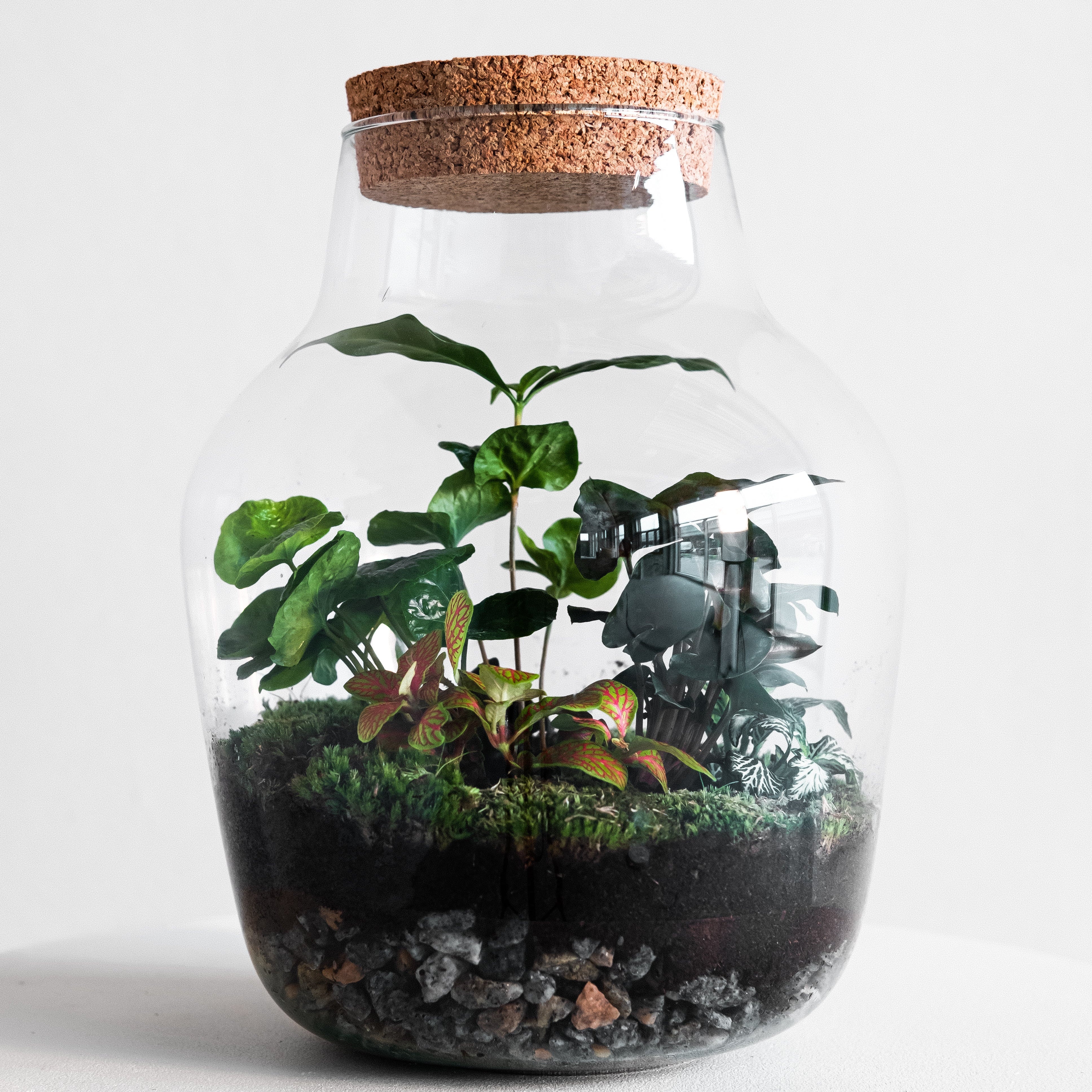 Håndskabte terrarier