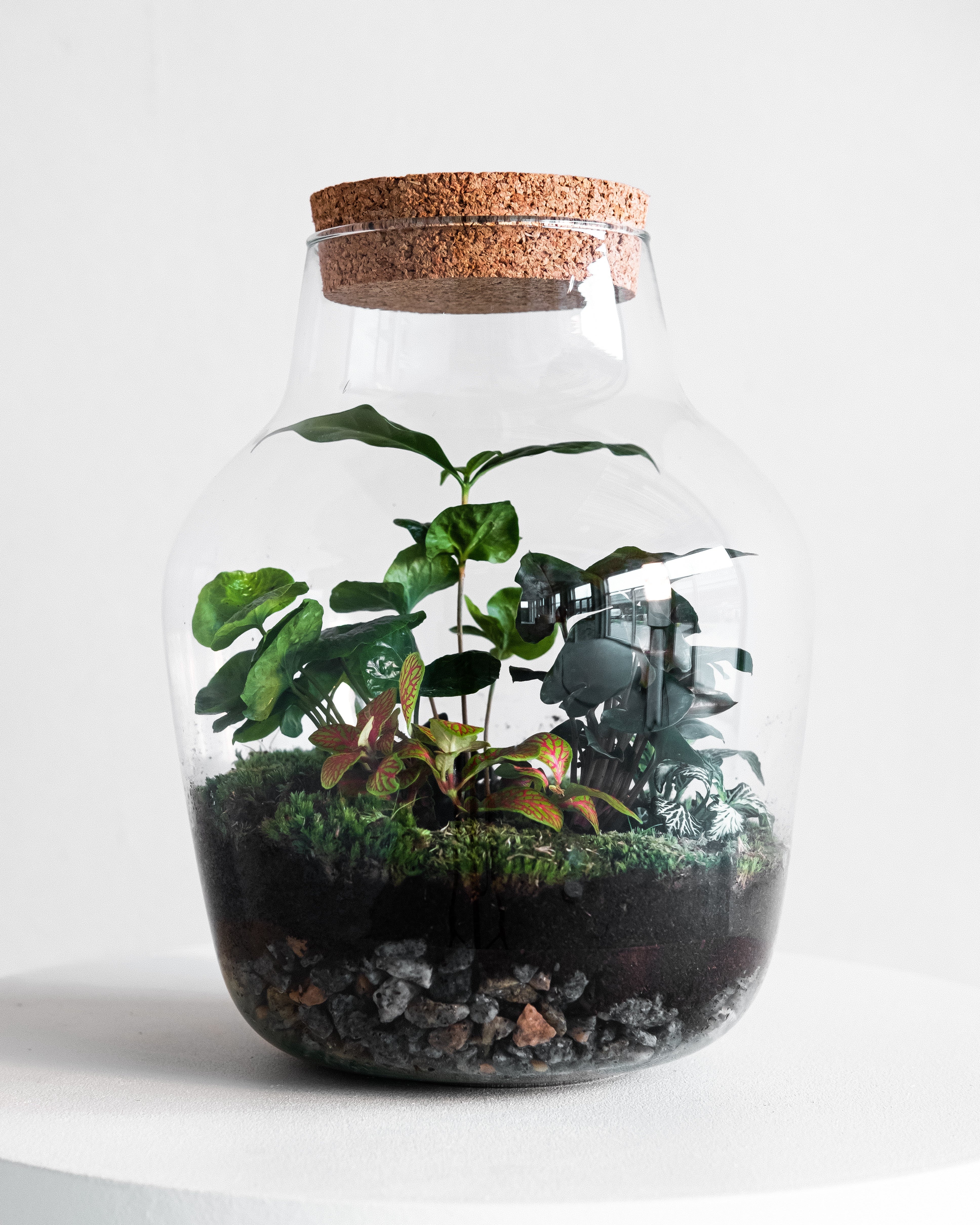 Håndskabte terrarier