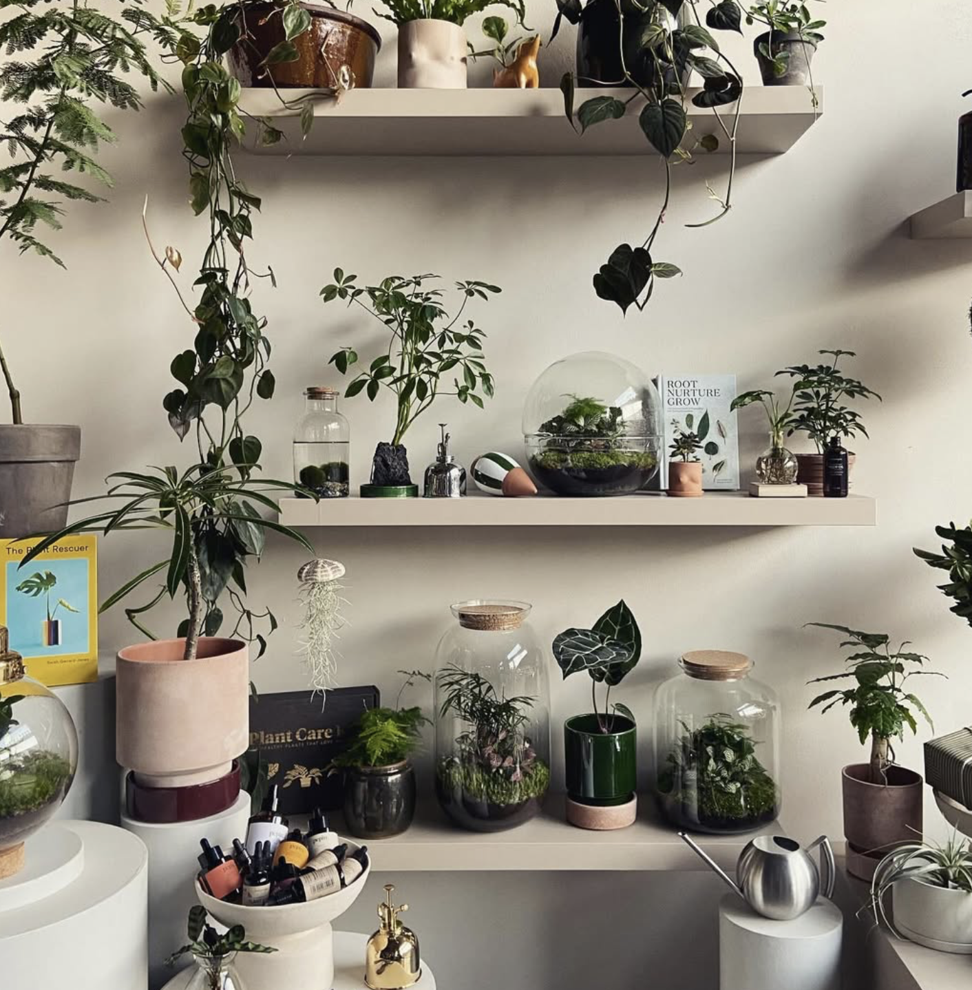 Planteprodukter & Plantepleje