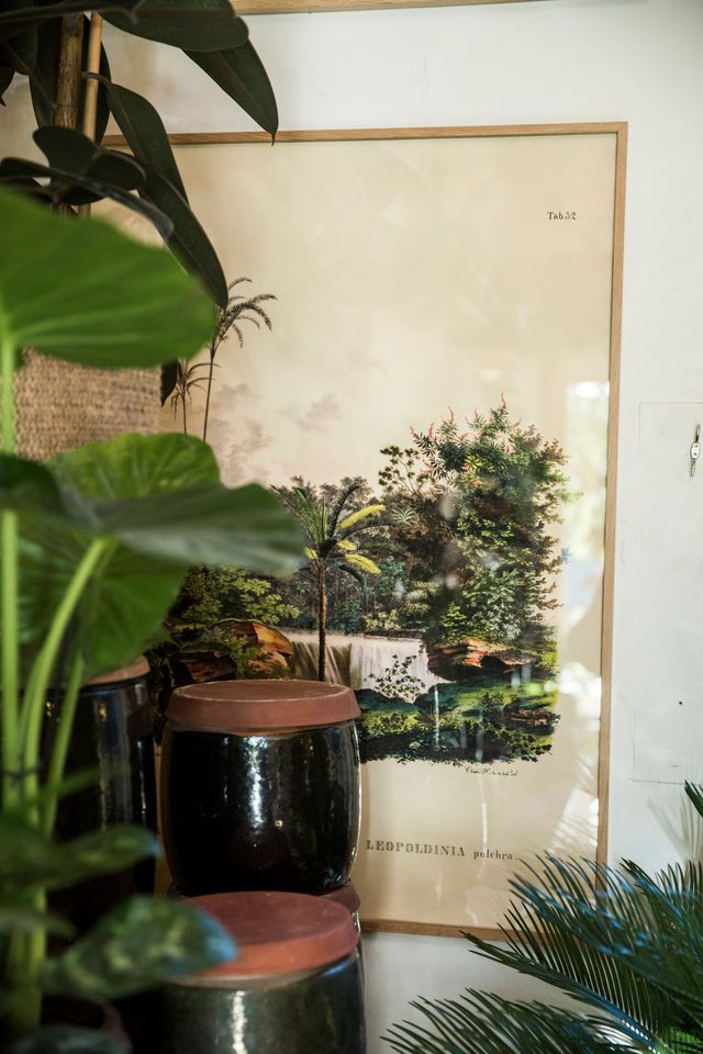 Hele vores sortiment