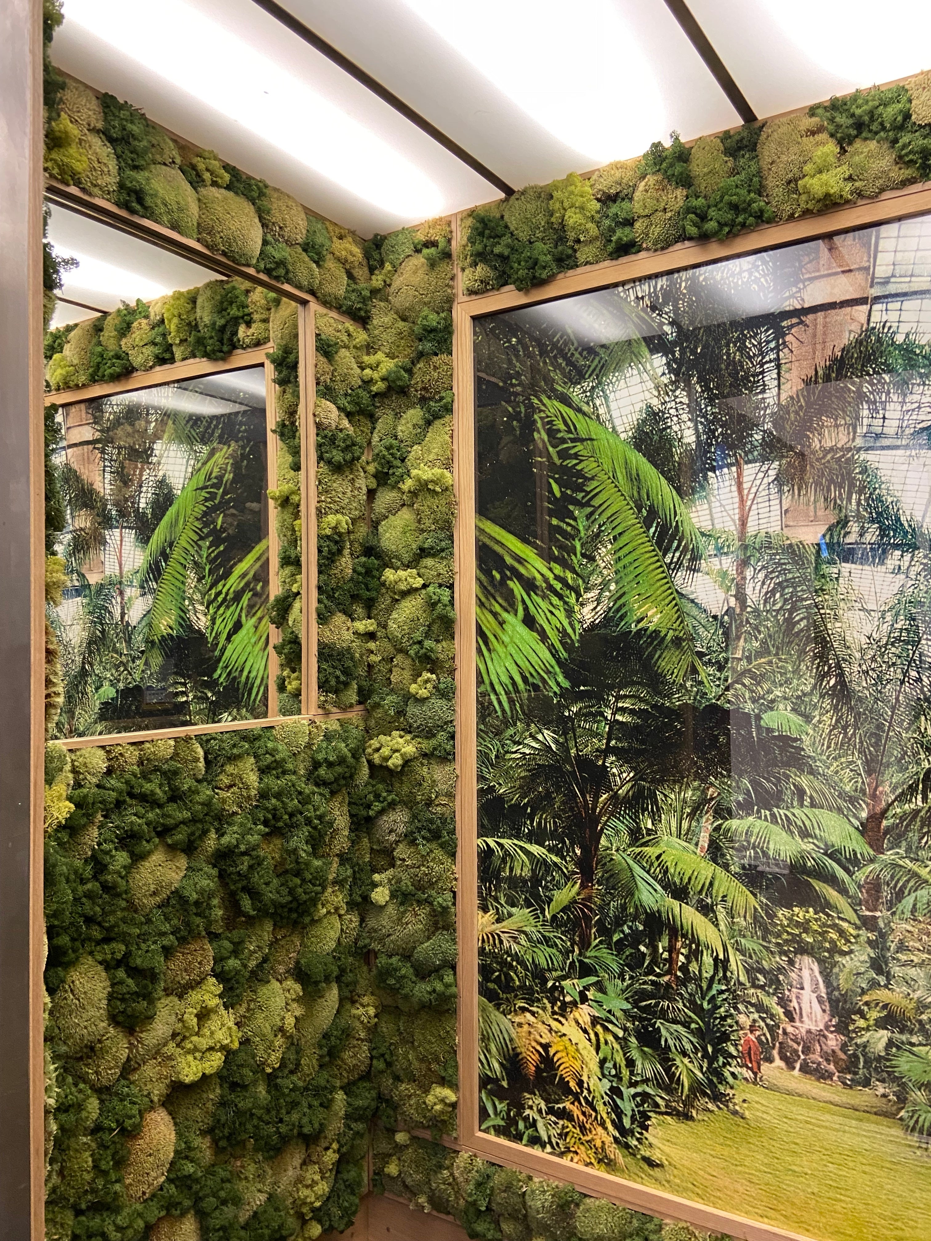 Botaniske plakater & grafik