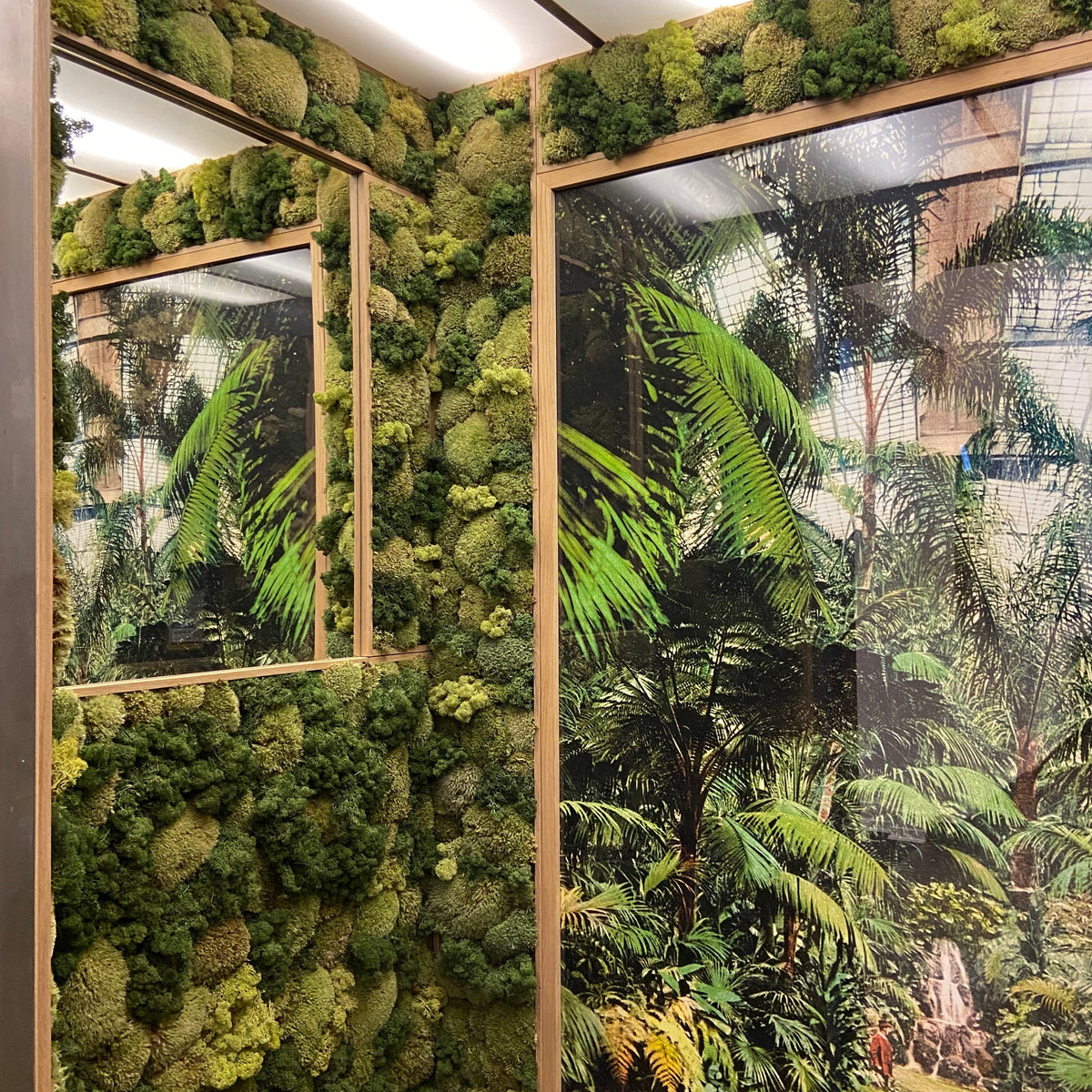Botaniske plakater & grafik – Plukk