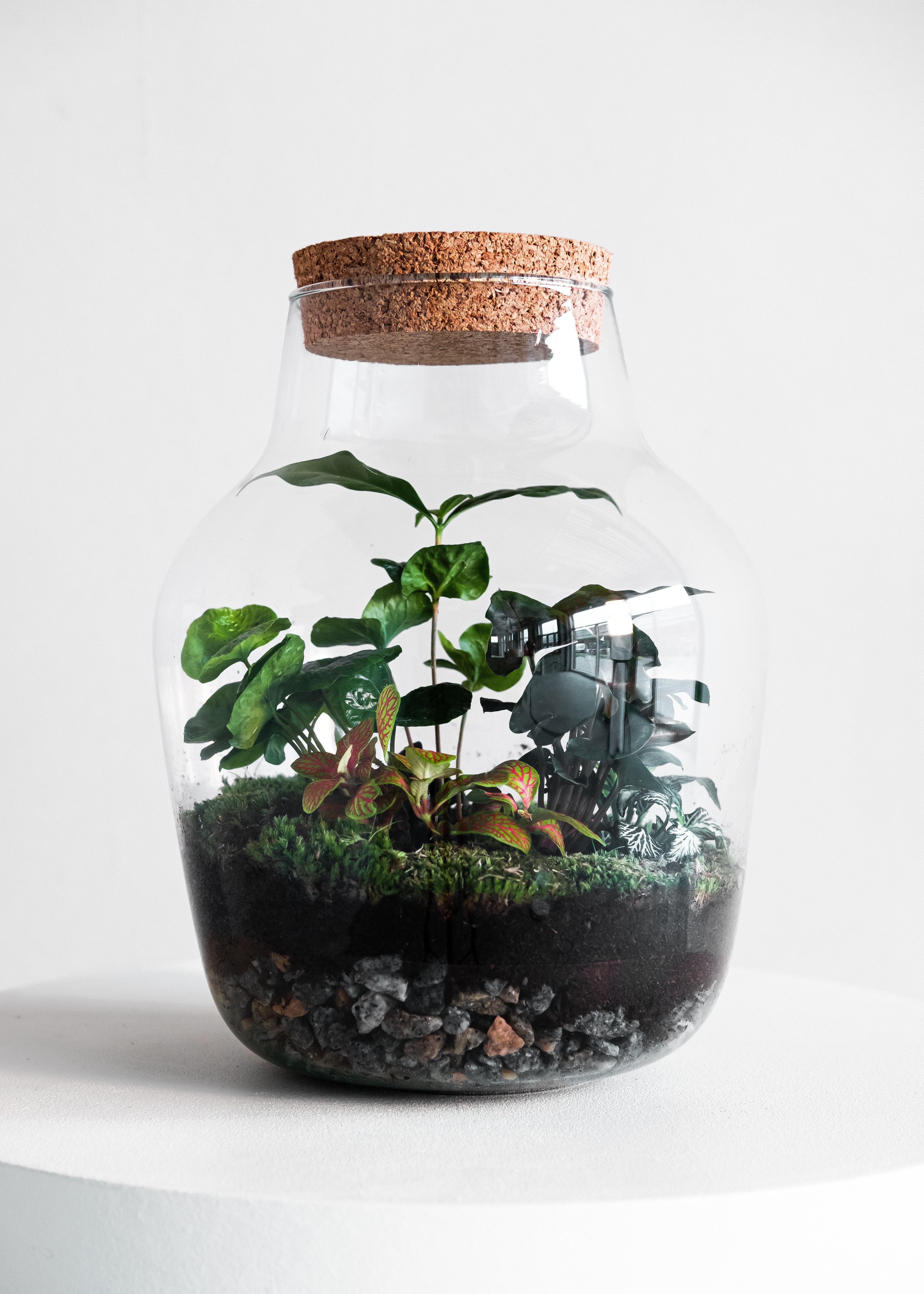 Håndskabte terrarier og terrarium værktøj