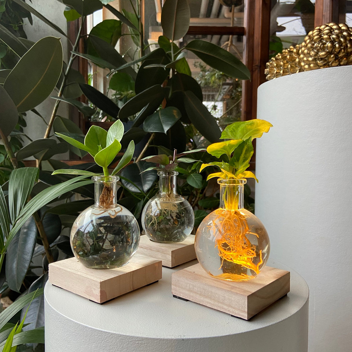 Plukk Collections – Plukk